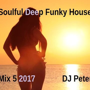 Soulful Deep Funky House Mix 5 2017 - DJ Peter