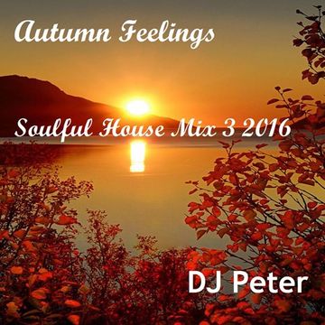 DJ Peter -  Autumn Feelings -  Soulful House Mix 3 2016