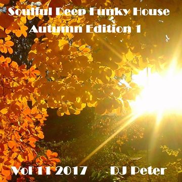 Soulful Deep Funky House Vol 11 2017   DJ Peter