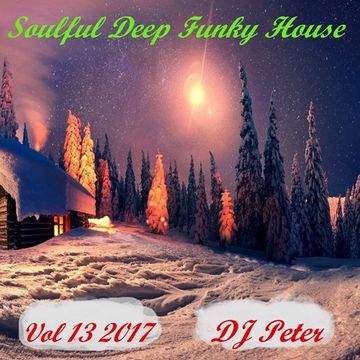 Soulful Deep Funky House Vol 13 2017 -  DJ Peter