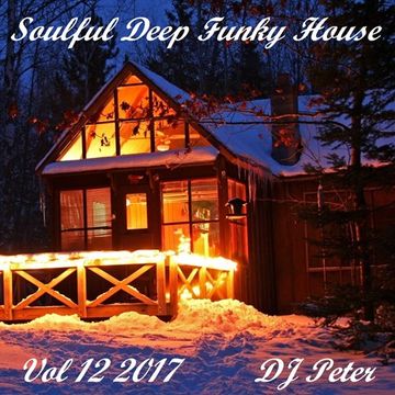 Soulful Deep Funky House Vol 12 2017   DJ Peter