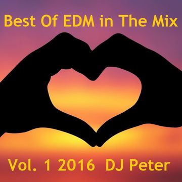 Best Of EDM in The Mix Vol. 1 2016 DJ Peter