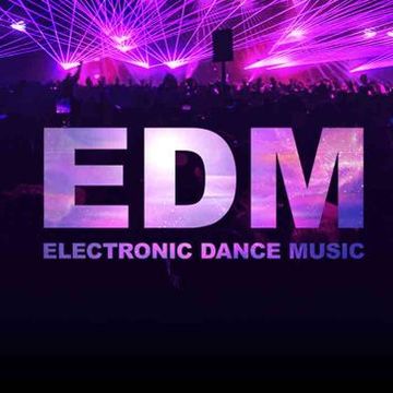 EDM / House Remixes  VOL 1 (DJS)