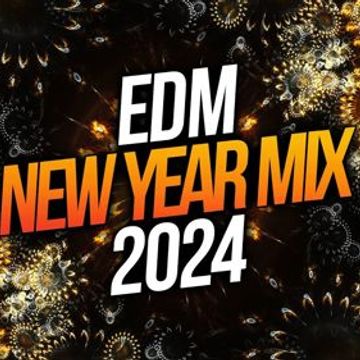 NYE 2024 EDM (DJS)