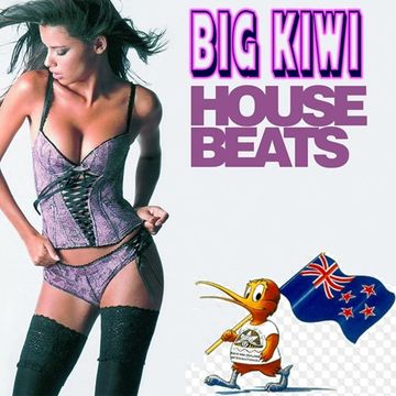 The KiwiDiscman Presents "Big Kiwi House Beats"