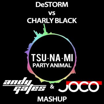 DeStorm vs Charly Black - Tsunami Party Animal (Andy Gates & JOCO Mashup)