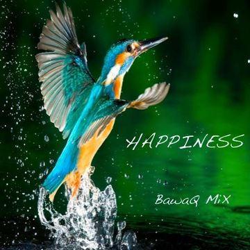 BawaQ Mix Happiness