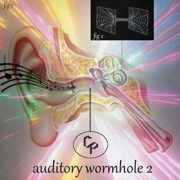 Auditory Wormhole 2