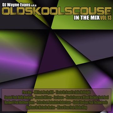 Wayne Evans -  In The Mix Vol 13