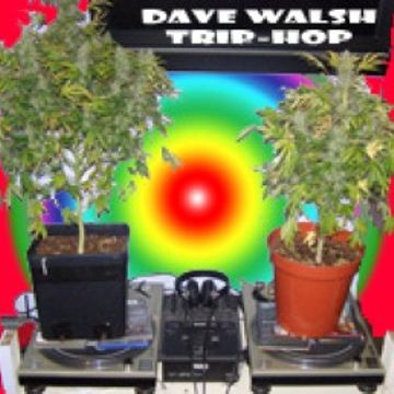Dave Walsh