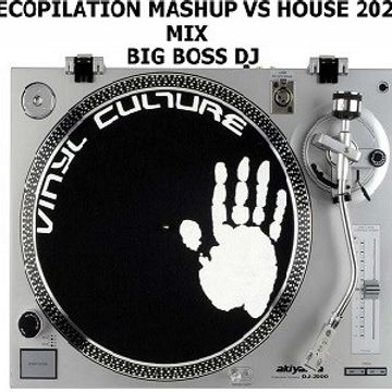 RECOPILATION MASHUP VS HOUSE 2020 MIX BIG BOSS DJ