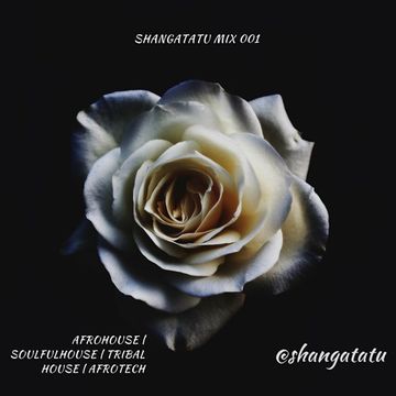 shangatatu mix 001