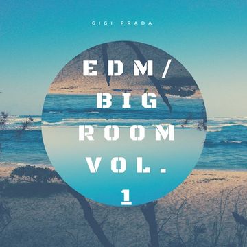 EDM/BIG ROOM (vol.1)