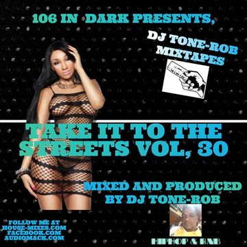 TAKE IT TO THE STREETS VOL. 30