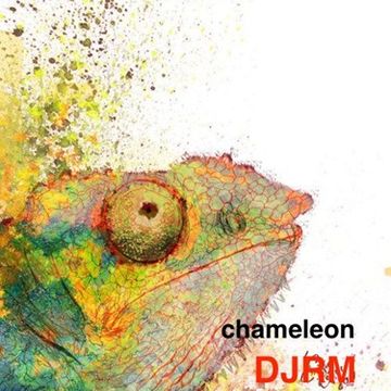 chameleon