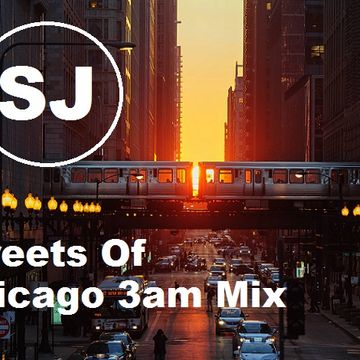 2015 "Bringing The Heat To The Street Vol. 12" (Streets Of Chicago 3am Mix)