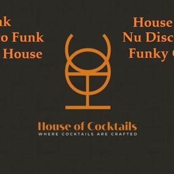 376 - Funk - Nu Disco House - Nu Disco Funk - Groovy House - House Music