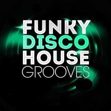 377 - Funky Groove - Funky Disco House - Groovy House