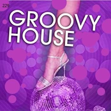 229 - GROOVY HOUSE