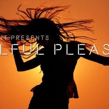 Soulful Pleasure 383