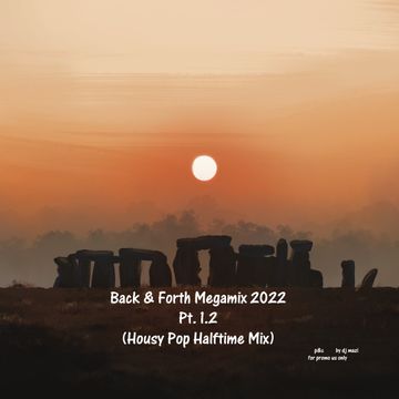 Back & Forth Massive Mix 2022 Pt.1.2 (Housy Pop Halftime Mix)
