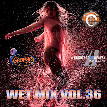 WET MIX VOL.36