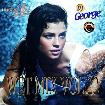 WET MIX VOL.22