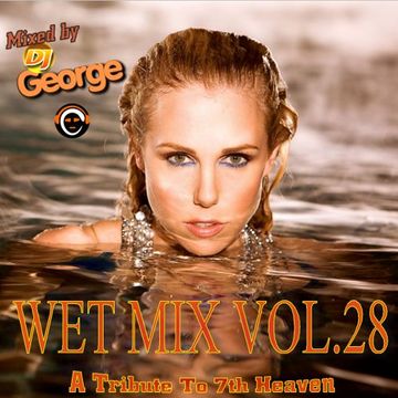 WET MIX VOL.28