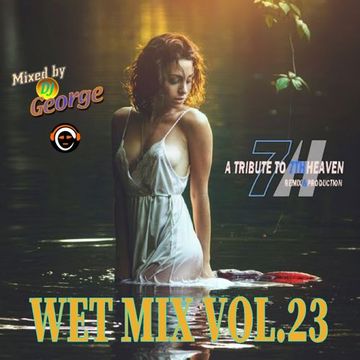 WET MIX VOL.23