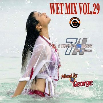 WET MIX VOL.29