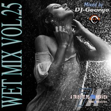 WET MIX VOL. 25