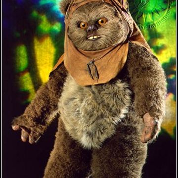 EwokSteppA 