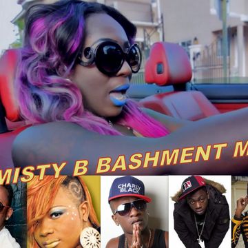 BASHMENT MIX 2015 DJ MISTY B