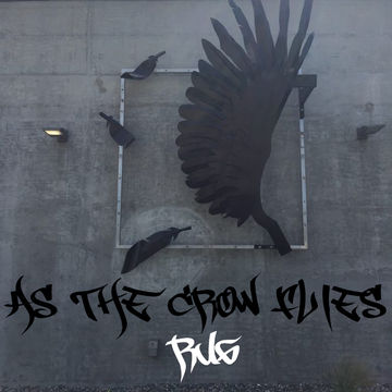 As The Crow Flies