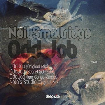 Neil Smallridge - Nola's Studio (clip)