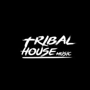 Tribal House Music  FT DJ SteveO