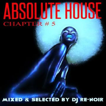 VA - ABSOLUTE HOUSE (CHAPTER # 5)