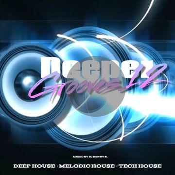 Deeper Grooves 12 