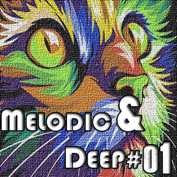 MELODIC & DEEP MIX 2020#01