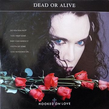 Dead Or Alive - Hooked On Love (@ UR Service Version)