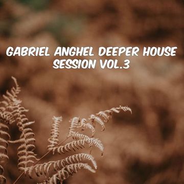 Gabriel Anghel - Deeper House Session Vol.3