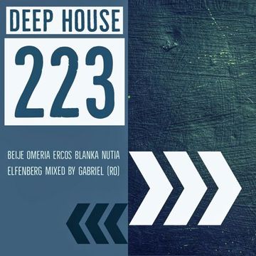 Chilled Deep Organic House <Deep House #223>