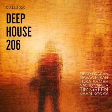 Deep House 206