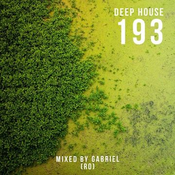 Deep House 193