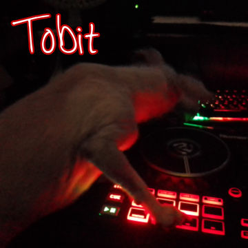 Tobit Presents - Heat Wave Mix Part 2 June 2021