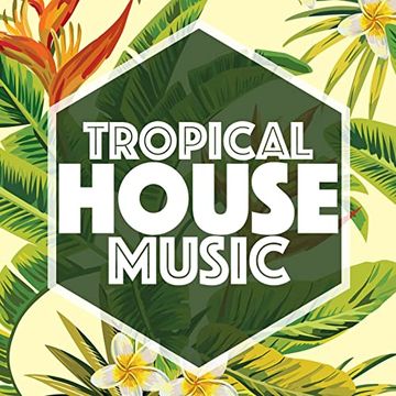 DJ MagicFred   IN THE MIX 2021   27   Tropical House Session