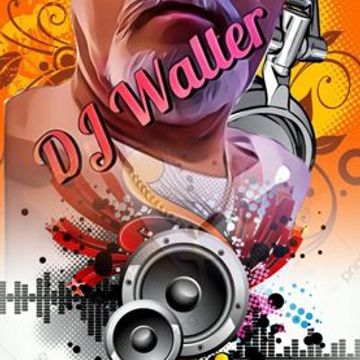 The Frequencies September 2025 "TECH HOUSE- HOUSE – DEEP HOUSE" by DJ Walter "S" no discord!