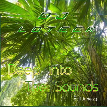  Deep into the Sounds pt.II JUne'23