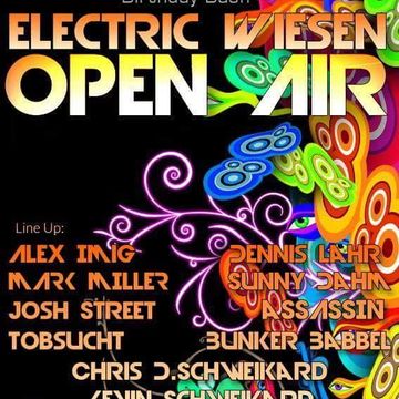 Bunker Babbel Electric Wiesen Open Air Assassins B Day Bash 11 07 2015