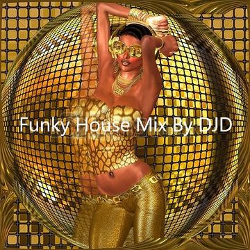 01 Funky Groove Jackin House Mix By DJ D